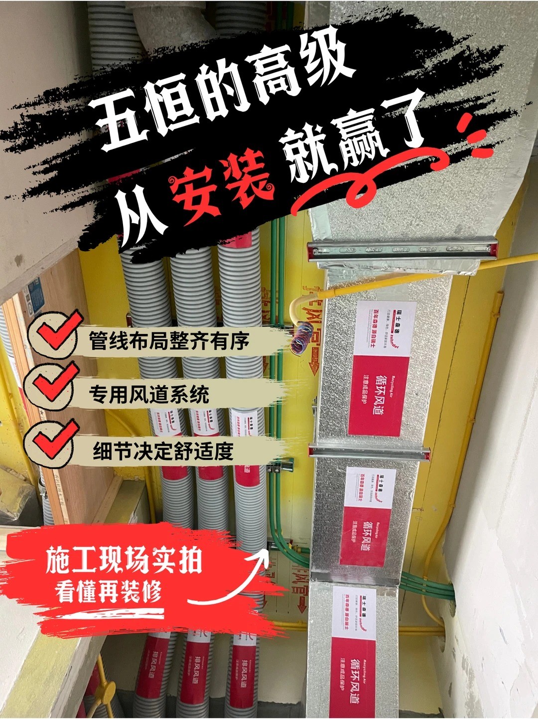 玉树五恒的，从安装就赢了